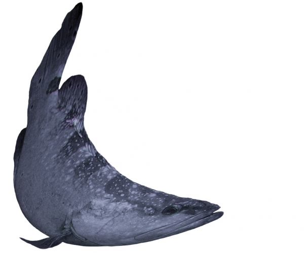 Creation of Bathysphere: Step 3